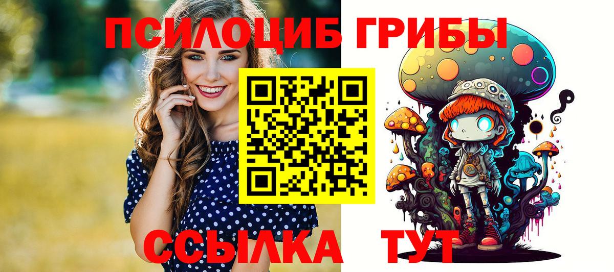 Галлюциногенные грибы прущие грибы Новозыбков